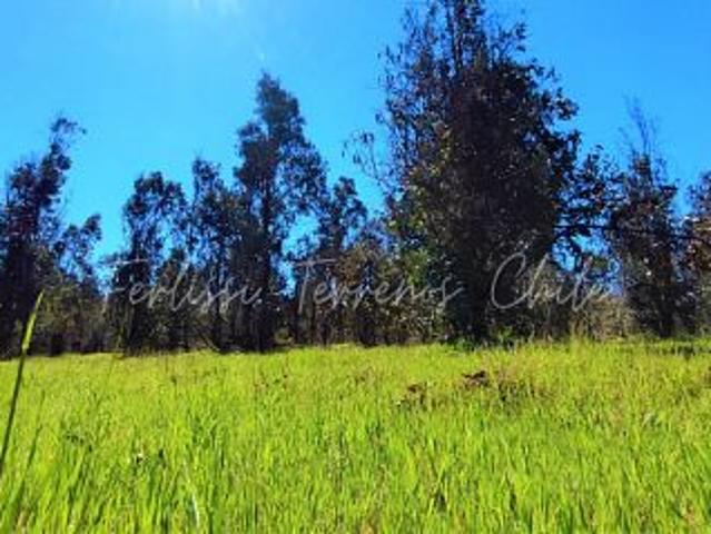 Terreno en venta en Llequén Norte, San Nicolás
