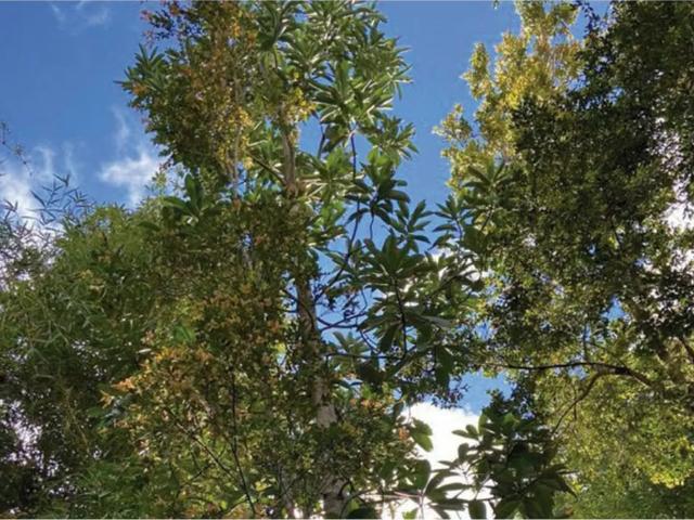 Terreno en venta en Quemchi, Los Lagos