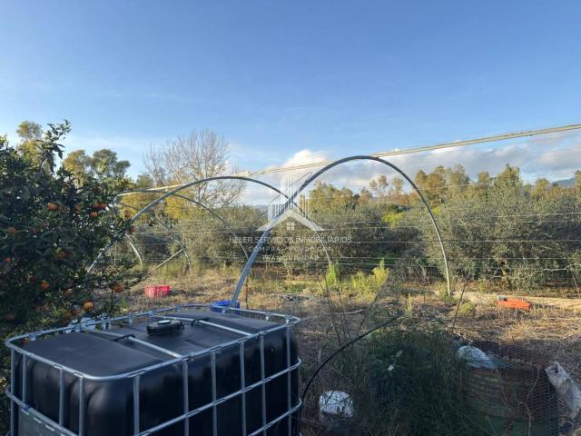 Terreno en venta en Castelló de la Plana / Castellón de la Plana, Castelló / Castellón