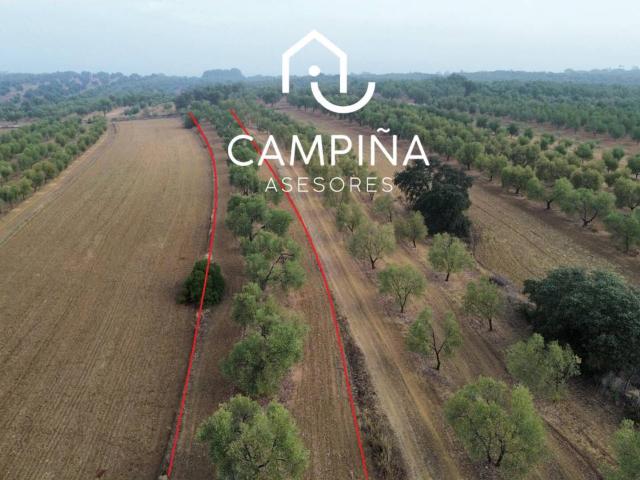 Terreno en venta en El Condado, Andalucía