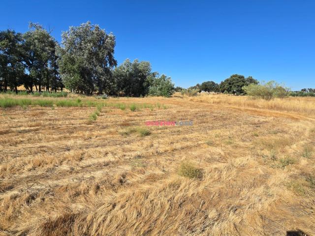 Chalet en venta en Villaralto, Andalucía