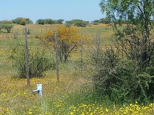 Terreno en venta en San Javier, Maule