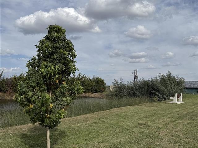 Parcelas Santa Virginia km16 Camino a Cato