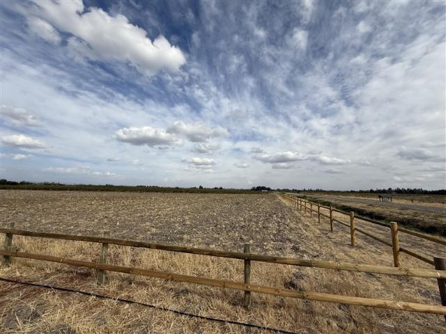 Parcelas Santa Virginia km16 Camino a Cato