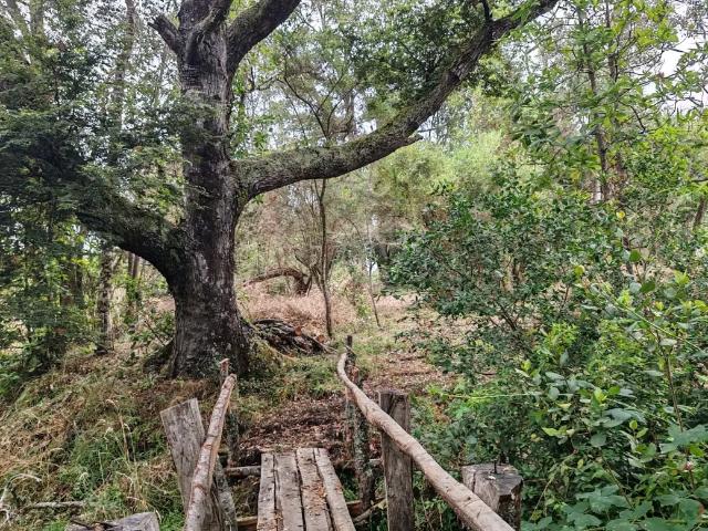 Terreno en venta en Toltén, La Araucanía