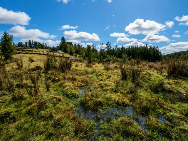 Terreno en venta en Valdivia, Los Ríos