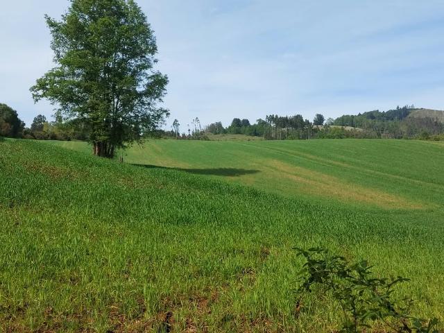 Terreno en venta en Valdivia, Los Ríos