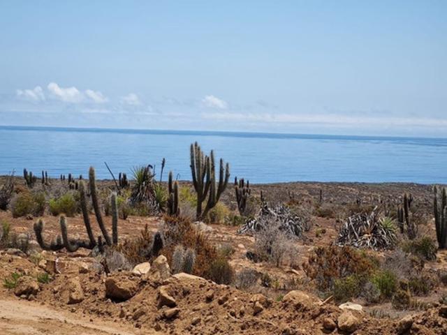 PARCELAS VISTA AL MAR A POCOS MINUTOS DE CALETA EN OVALLE