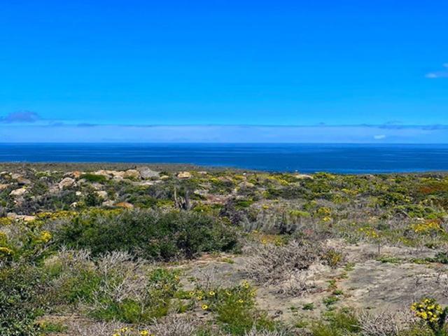 PARCELAS VISTA AL MAR A POCOS MINUTOS DE CALETA EN OVALLE