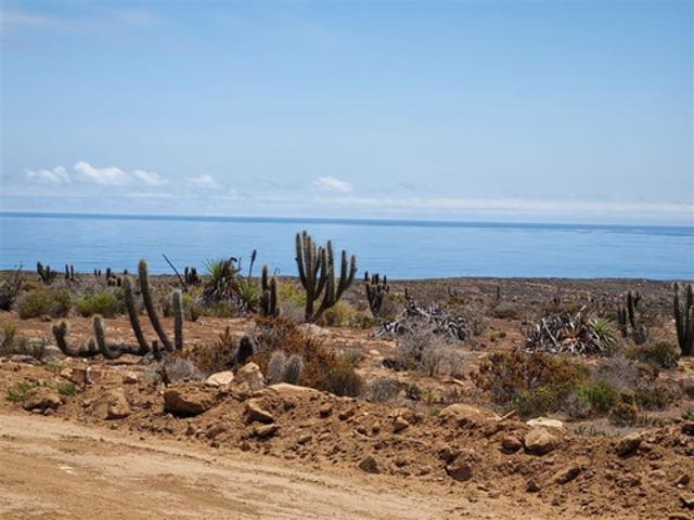 PARCELAS VISTA AL MAR A POCOS MINUTOS DE CALETA EN OVALLE