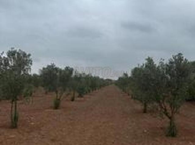 Propriété vente à Berrechid, Gharb-Chrarda-Beni Hssen