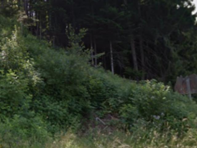 Immobilie kaufen in Châtel-Saint-Denis, Freiburg
