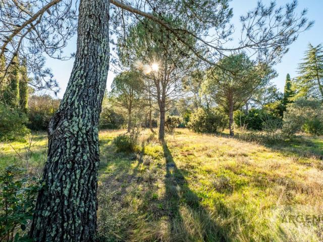 Terrain vente à Montferrier-sur-lez, Les Aigueillères