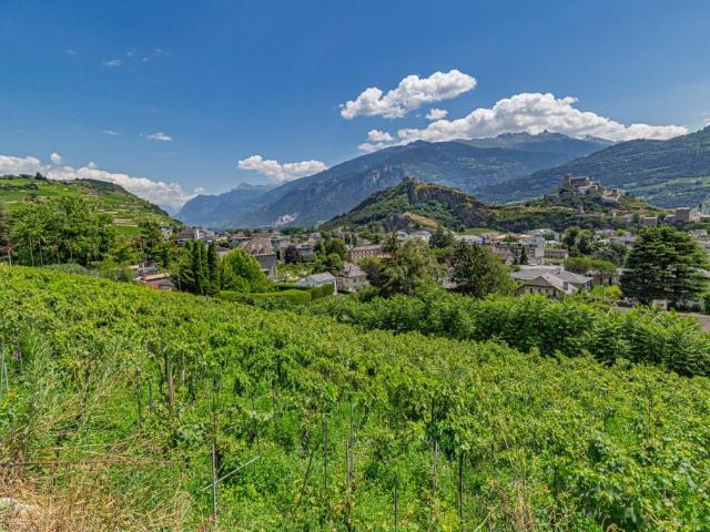 Grundstück kaufen in Les Mayens-de-Sion, Wallis