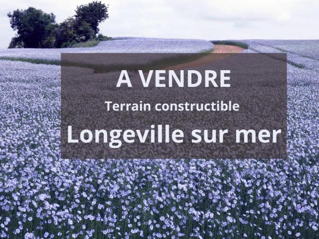 Terrain vente à Les Sables-d'Olonne, Longeville-sur-mer