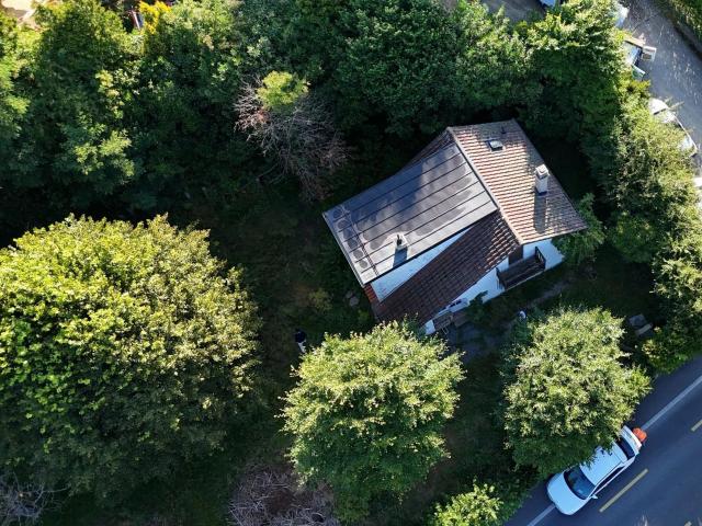 Einfamilienhaus kaufen