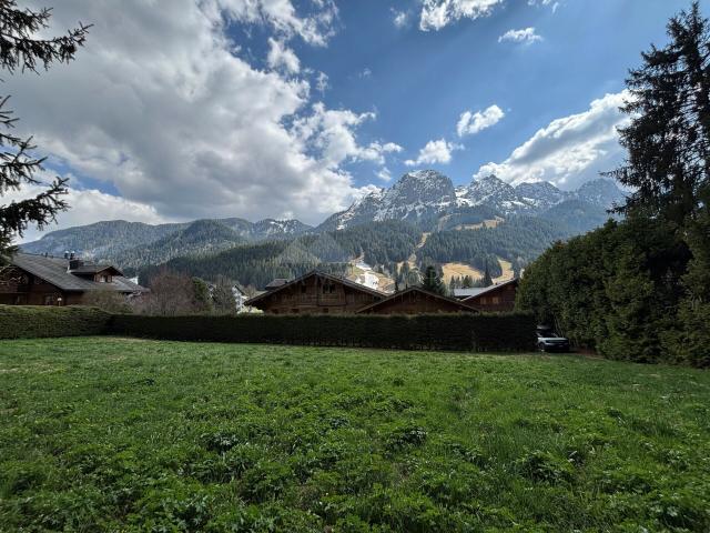 Immobilie kaufen in Rougemont, Waadt