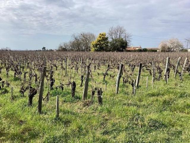 Terrain vente à Libourne, Saint-sulpice-de-faleyrens