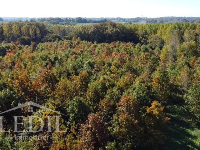 Maison vente à France métropolitaine, Cazaubon