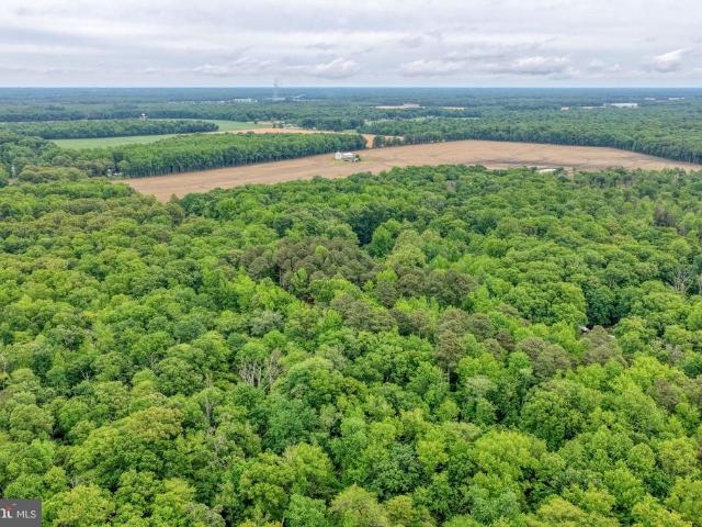 Land for sale in Goldsboro, Maryland