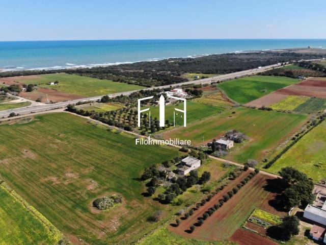 Box in vendita a Puglia, Brindisi