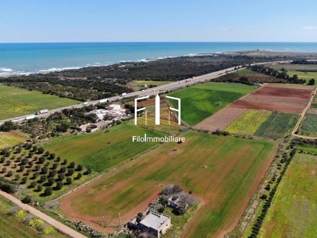 Box in vendita a Puglia, Brindisi