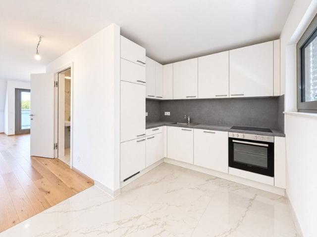 Apartment mieten in Katastralgemeinde Leopoldsdorf, Leopoldsdorf