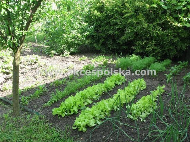 Dom na sprzedaż w Parczew, Lubelskie