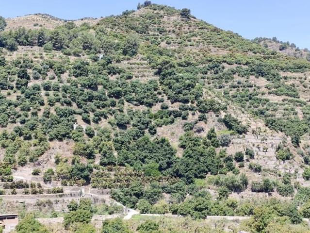 Chalet en venta en Comarca de la Costa Granadina, Andalucía