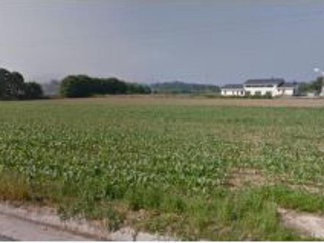 Local Comercial en venta en Castropol