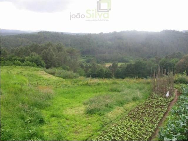 Terreno venda em Paredes De Coura, Viana Do Castelo