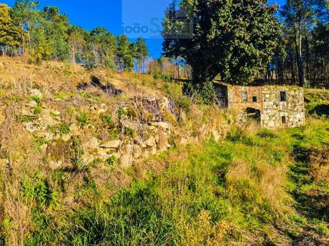 Terreno venda em Paredes De Coura, Viana Do Castelo