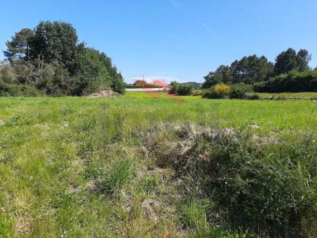 Terreno venda em Paredes De Coura, Viana Do Castelo