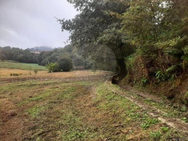 Terreno venda em Paredes de Coura, Paredes de Coura e Resende