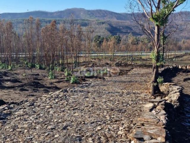 Terreno venda em Paredes, Bitarães