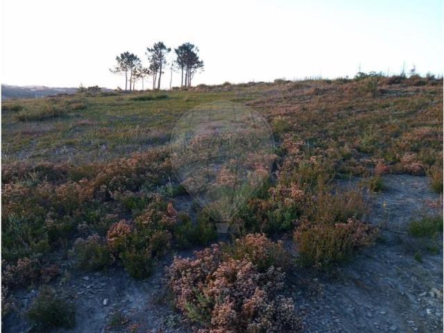 Terreno venda em Bitarães, Porto