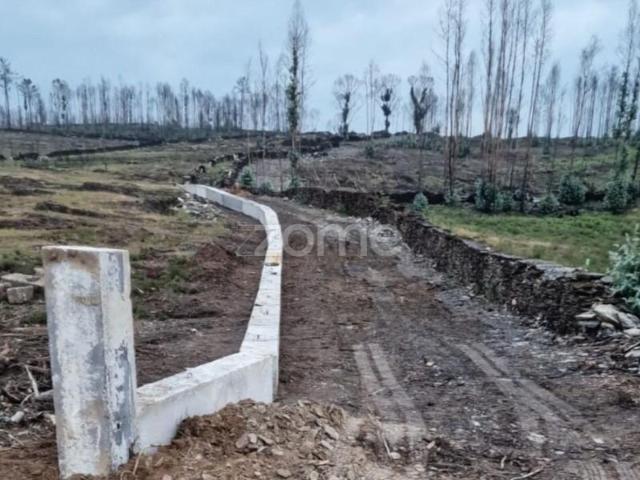 Terreno alugar em Paredes, Bitarães