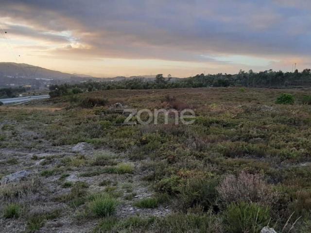 Terreno venda em Paredes