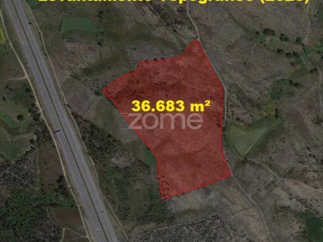 Terreno alugar em Paredes Terreno alugar em Paredes