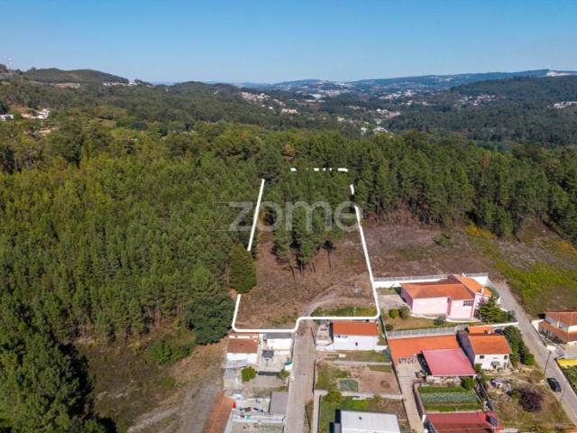 Terreno venda em Paredes, Bitarães