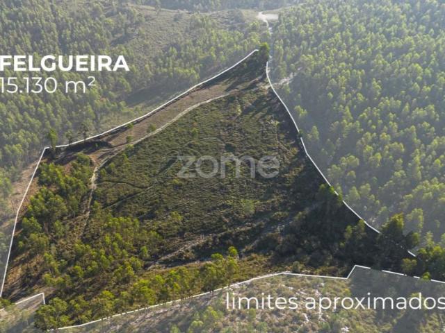 Terreno venda em Paredes, Bitarães