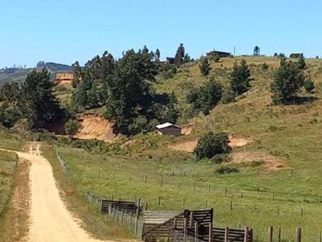 Paredones, Cabaña en Parcela de 5.000mt2 en Bucalemu 74584