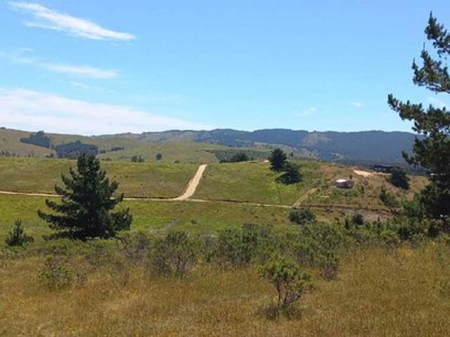 Paredones, Cabaña en Parcela de 5.000mt2 en Bucalemu 74584