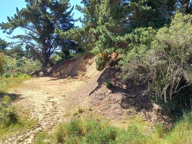 Paredones, Cabaña en Parcela de 5.000mt2 en Bucalemu 74584