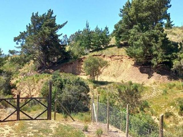 Paredones, Cabaña en Parcela de 5.000mt2 en Bucalemu 74584