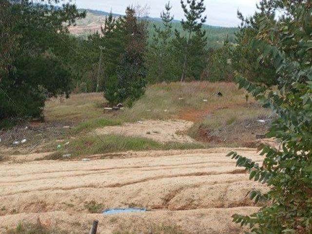 Paredones, Paredones a 30km de laguna vichuquen