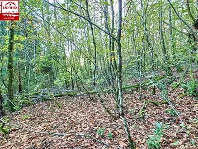 Terrain vente à Bordeaux, Parempuyre