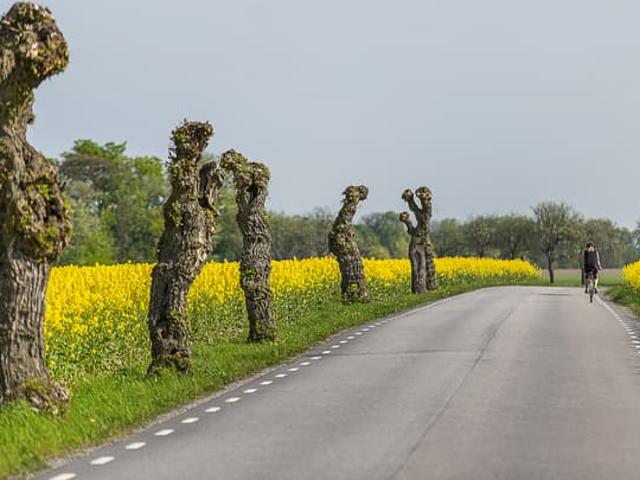 Villa till salu i Trelleborg, Skåne