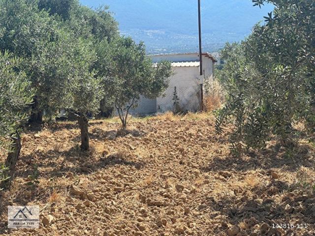 Torbali, İzmir içerisinde satılık Arsa
