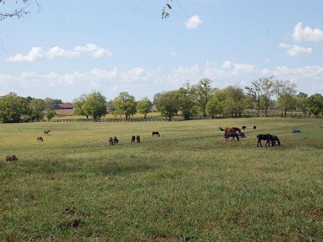 Land for sale in Kentucky